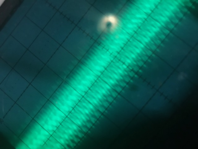12C0A8EE-375B-4CA4-AA9A-F296B198CC15.jpeg