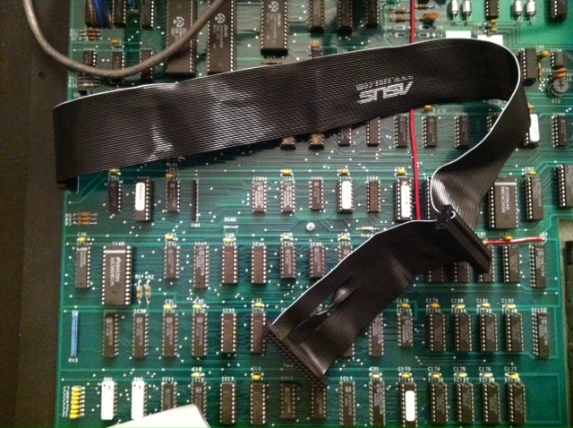 1FloppyCable2.JPG