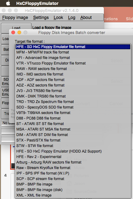 Screen shot of the Batch Conversion Options Available.