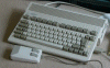 Amiga Icon